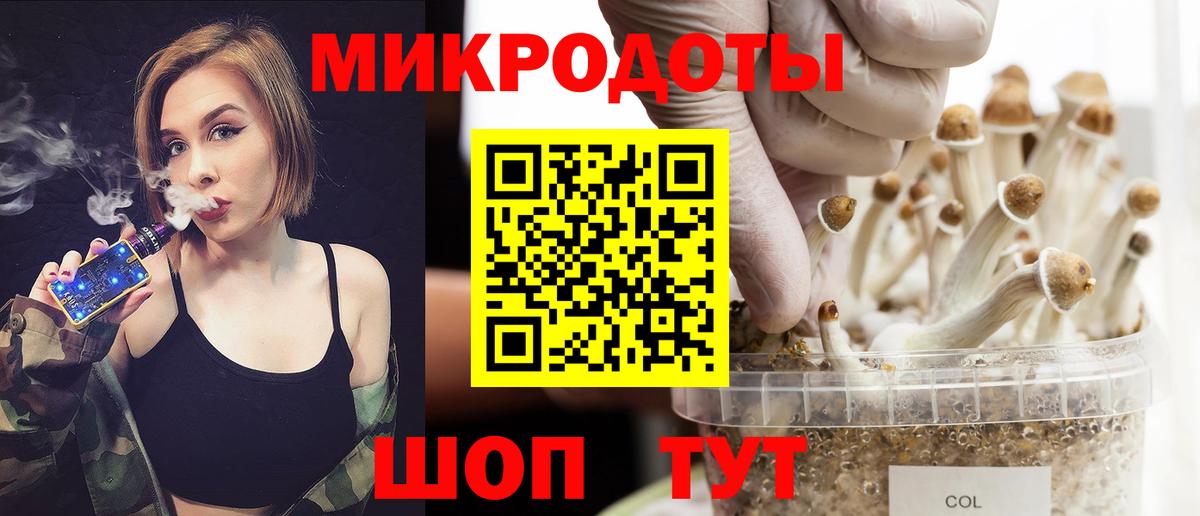 купить наркотик  Вход с VPN  Новоуральск  Галлюциногенные грибы мухоморы  Псилоцибиновые грибы Cubensis 